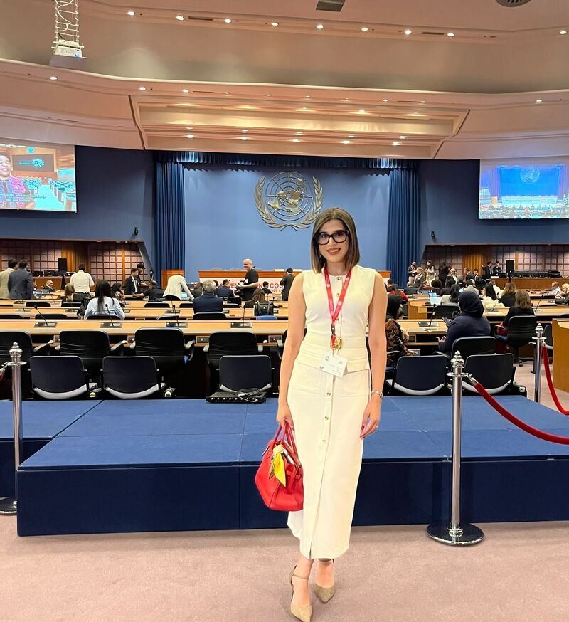 Event photo: Shubham Mehrotra at the United Nations